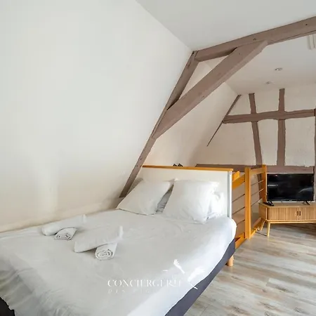 Maison Historique Au Coeur Du Marché De Noël *