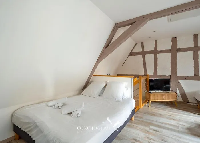 Maison Historique Au Coeur Du Marche De Noel *