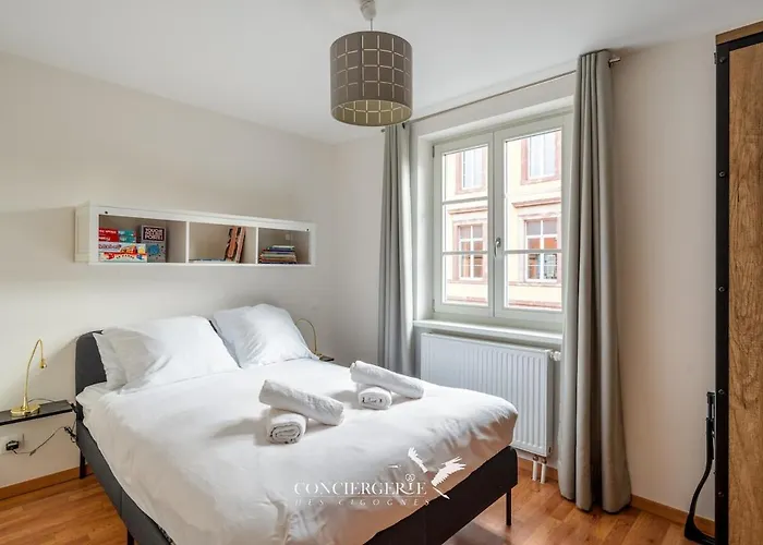 Maison Historique Au Coeur Du Marché De Noël Colmar