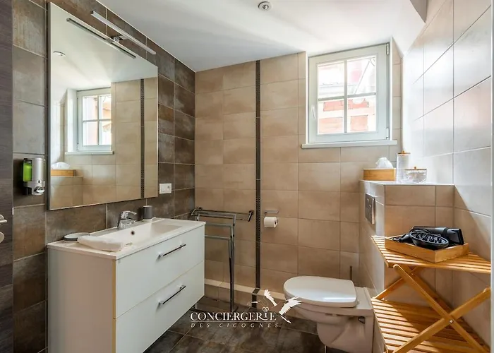 Maison Historique Au Coeur Du Marche De Noel Colmar