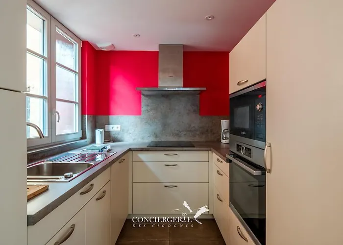 Maison Historique Au Coeur Du Marche De Noel Colmar