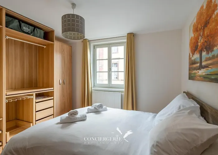 Maison Historique Au Coeur Du Marche De Noel *