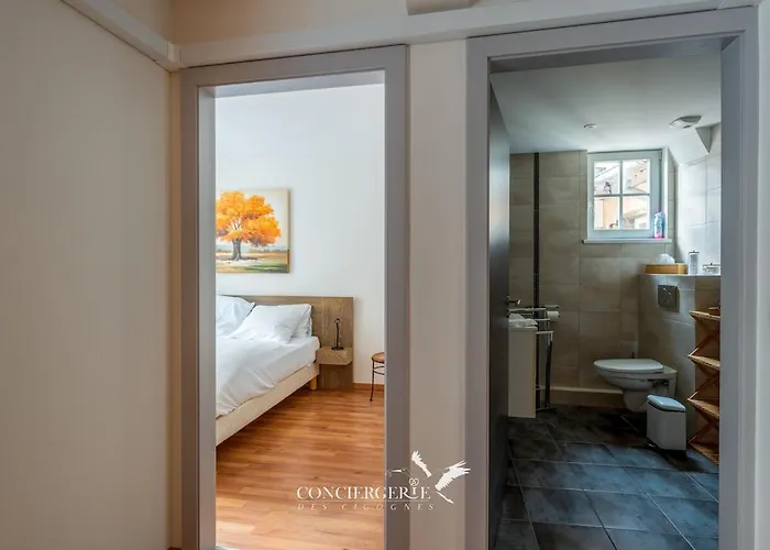 Maison Historique Au Coeur Du Marché De Noël Сasa de vacaciones Colmar